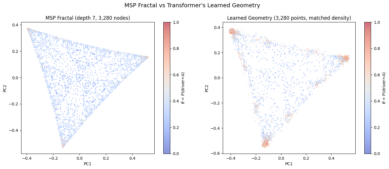 MSP fractal compared with learned transformer geometry